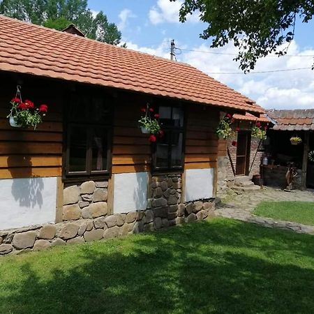 Willa Etno Kuca Nikolov Dimitrovgrad Zewnętrze zdjęcie