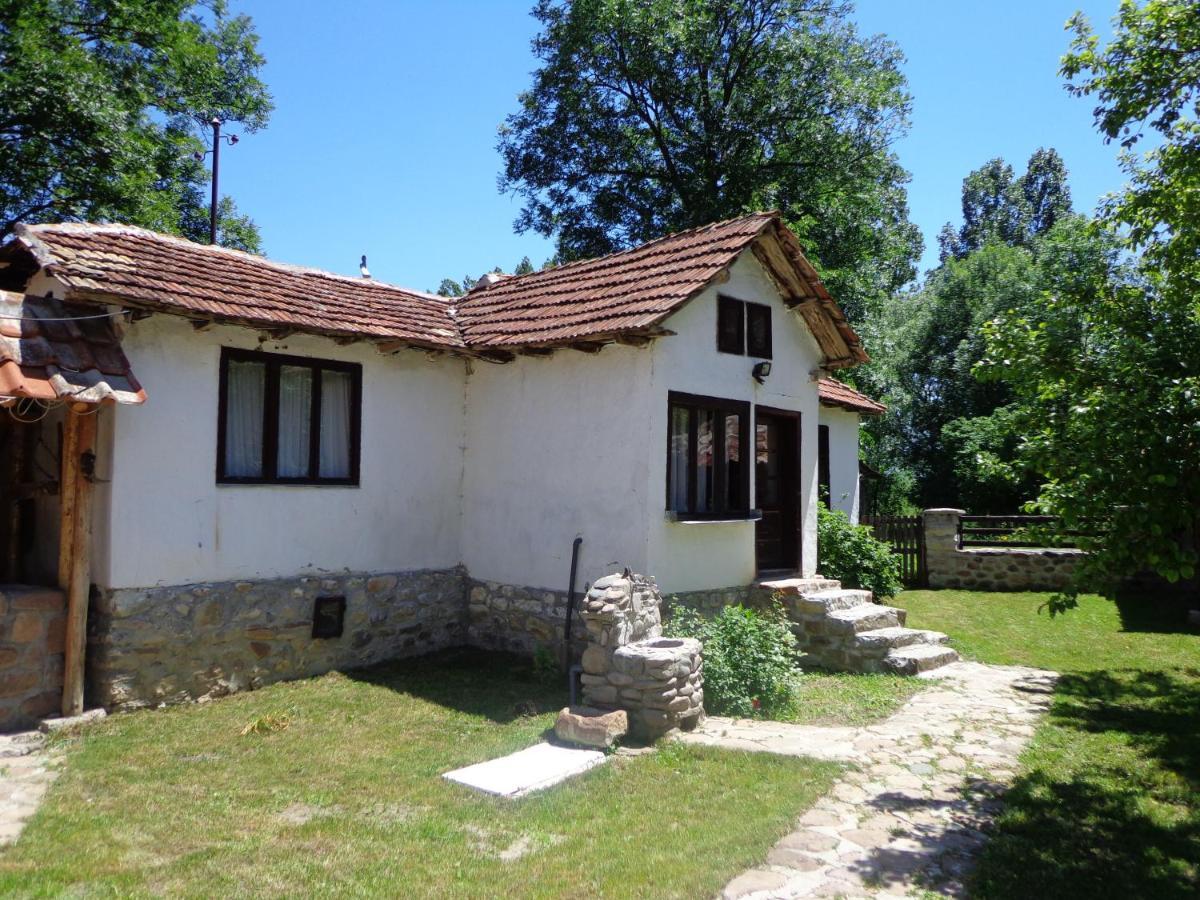 Willa Etno Kuca Nikolov Dimitrovgrad Zewnętrze zdjęcie