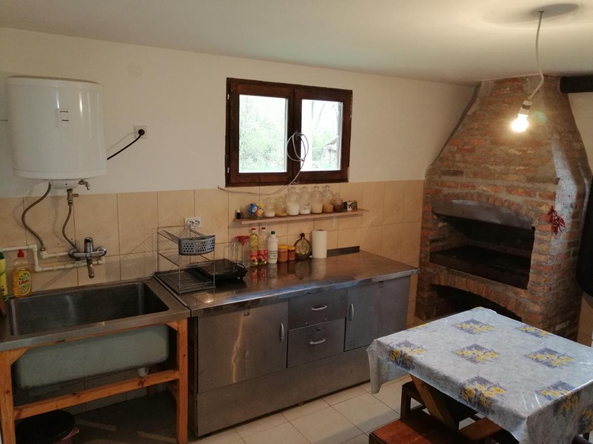 Willa Etno Kuca Nikolov Dimitrovgrad Zewnętrze zdjęcie
