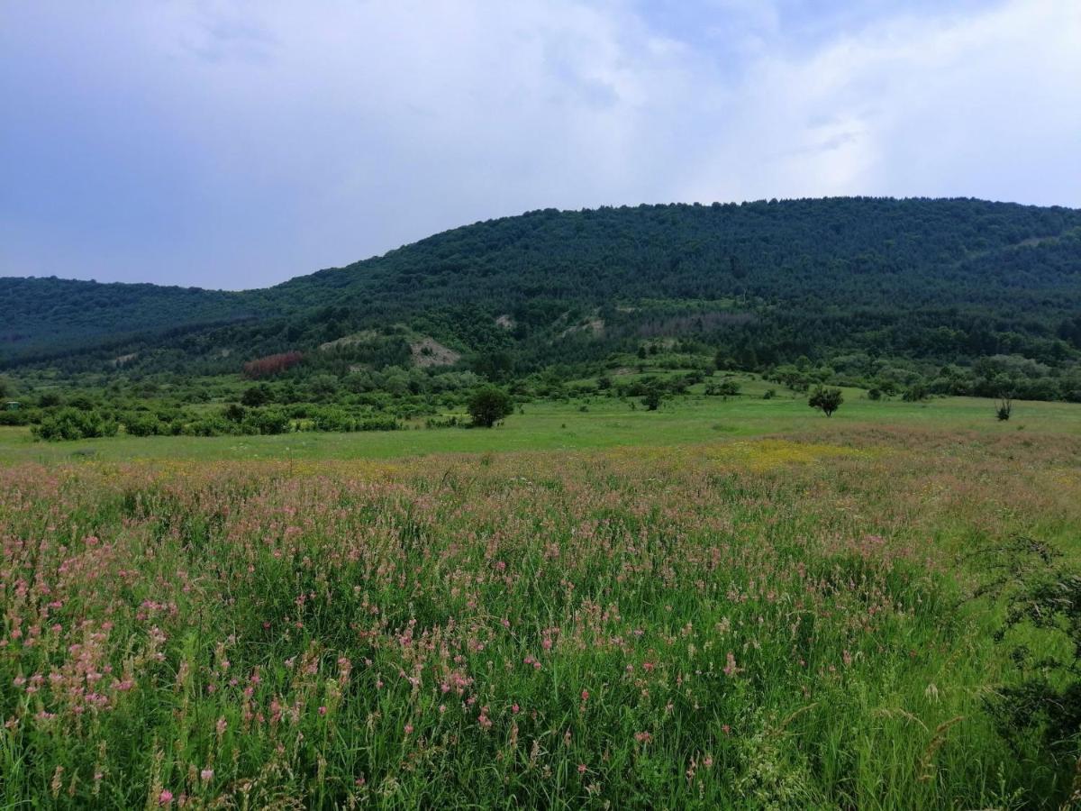 Willa Etno Kuca Nikolov Dimitrovgrad Zewnętrze zdjęcie