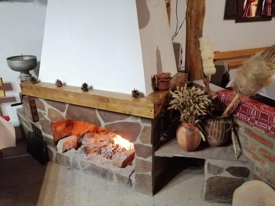 Willa Etno Kuca Nikolov Dimitrovgrad Zewnętrze zdjęcie