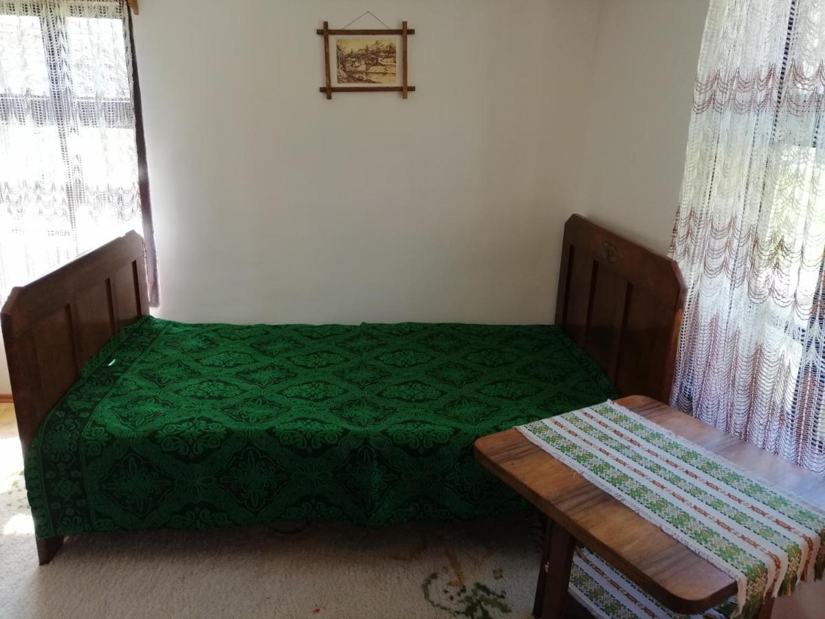 Willa Etno Kuca Nikolov Dimitrovgrad Zewnętrze zdjęcie