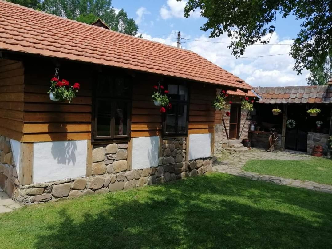 Willa Etno Kuca Nikolov Dimitrovgrad Zewnętrze zdjęcie